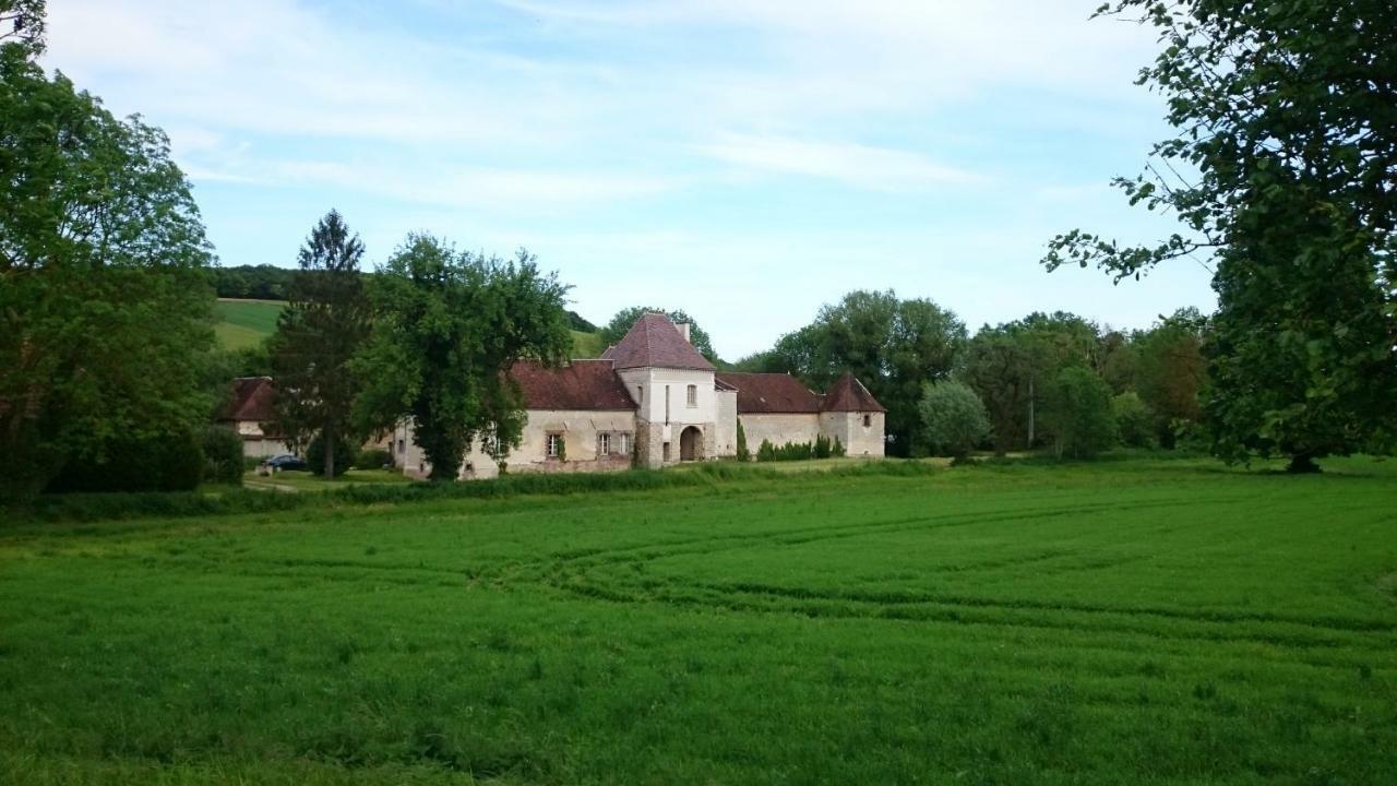 Chateau Des Roises Bucey-en-Othe Exterior foto