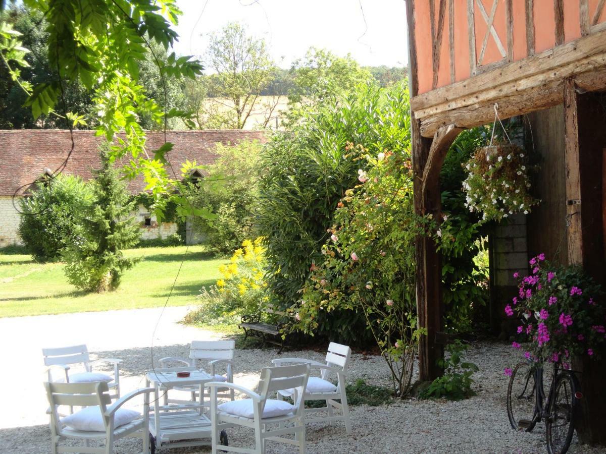 Chateau Des Roises Bucey-en-Othe Exterior foto